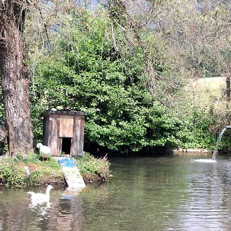 Апартаменты Schloss Wasserleonburg Нёч