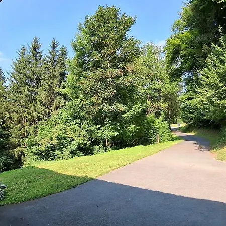 Schloss Wasserleonburg Апартаменты *