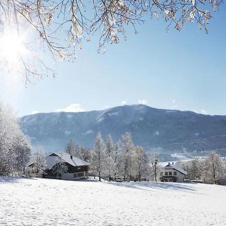 Schloss Wasserleonburg *